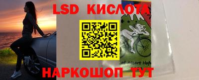 шишки Кингисепп