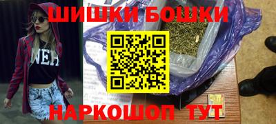 шишки Кингисепп