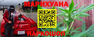 шишки Кингисепп