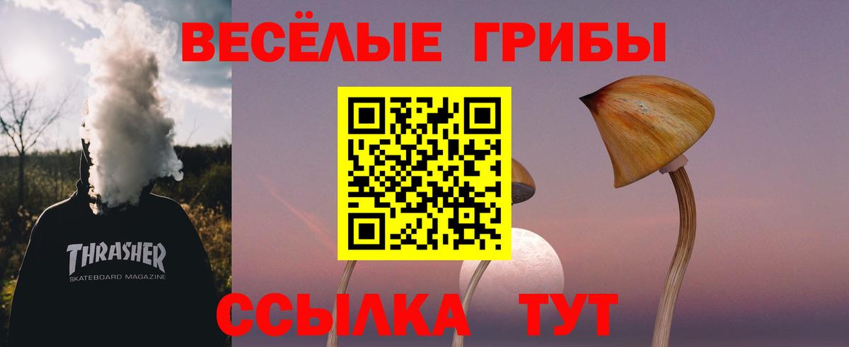 Котельники  Галлюциногенные грибы Magic Shrooms  Псилоцибиновые грибы Psilocybe  Вход с VPN 